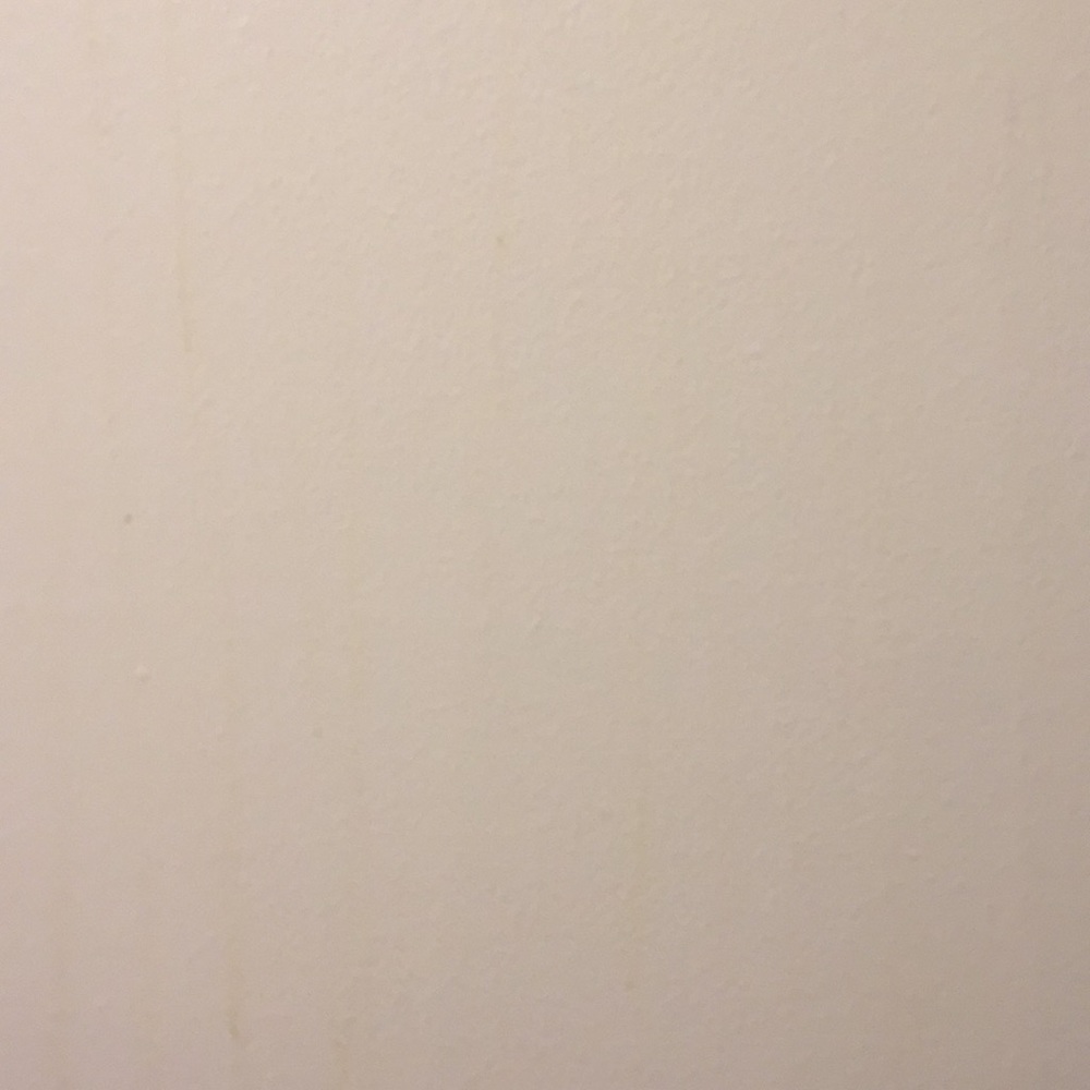 Meet your Posher, Whitney